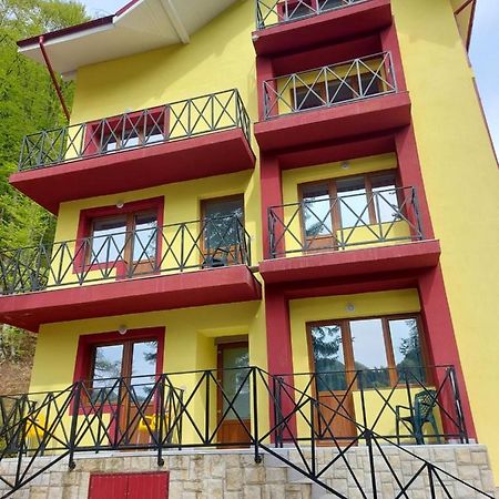 Vila Ioana Hotel Slănic-Moldova Exterior foto
