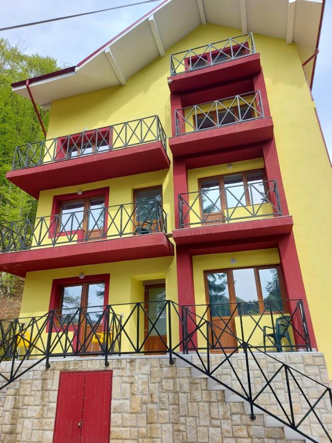 Vila Ioana Hotel Slănic-Moldova Exterior foto